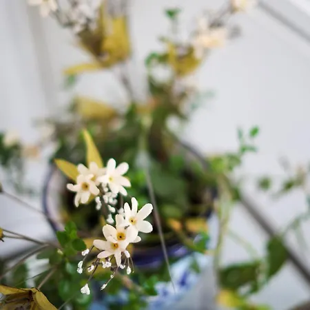 Attico Panoramico Apartment