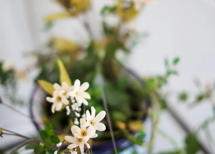 Attico Panoramico Daire