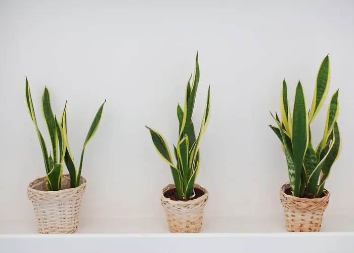 Attico Panoramico * アナカプリ