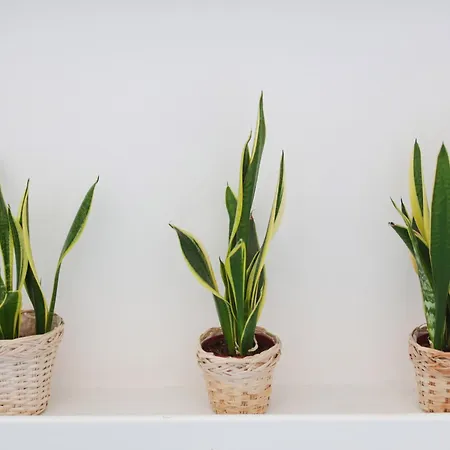 Attico Panoramico * Ανακάπρι